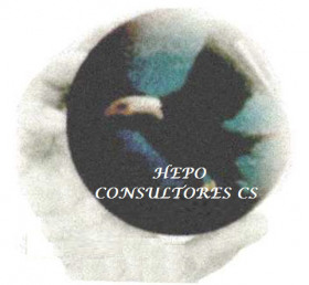 Hepo Consultores Logo